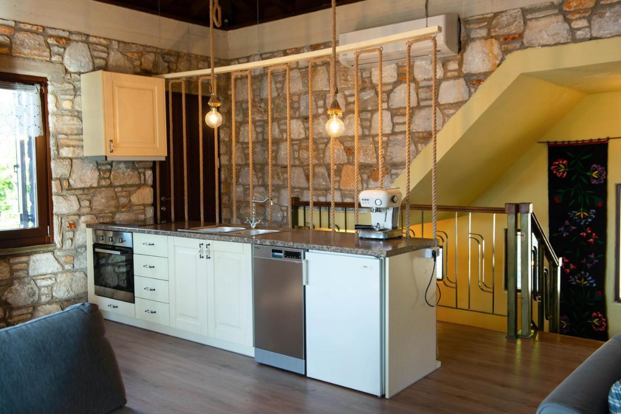 Pelion Bnb Luxury Homes داموشاري المظهر الخارجي الصورة